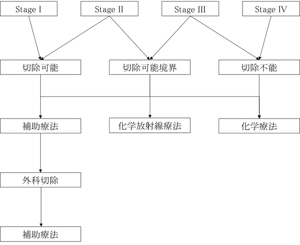 化学的根拠に基づく肝癌診療ガイドライン